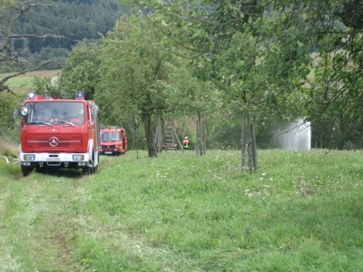 Waldbrand von oben